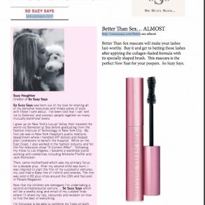Bog Spotlight Focus Magazine